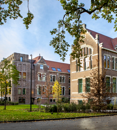 KWA-Pillows-Mauritskade